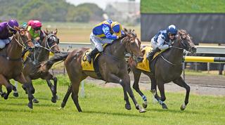 Group Three Woburn Farm 2YO Classic (1200m) winner Bonita Aurelia (NZ). 